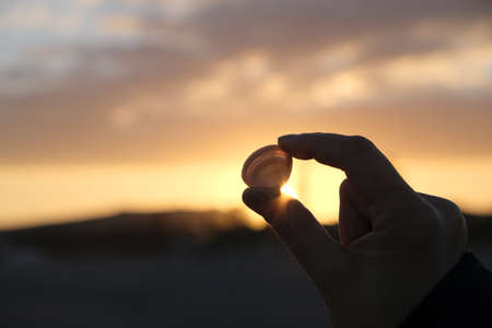 close-up of a shell in the beach at sunsetの写真素材