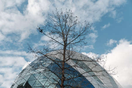 modern architecture and nature concept in eindhoven - Netherlands Hollandのeditorial素材