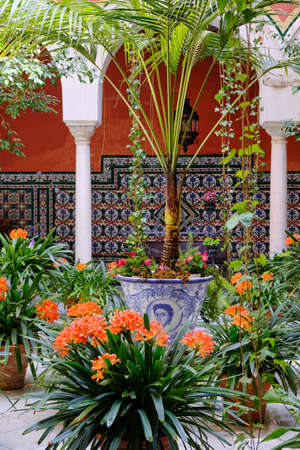 April 2019 - Seville neighborhood courtyard with columns, garden plants in historical house of Andalusia - Spainのeditorial素材