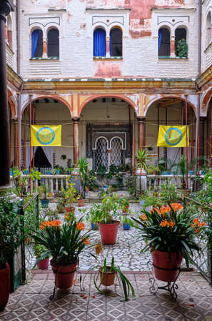 April 2019 - Seville neighborhood courtyard with columns, garden plants in historical house of Andalusia - Spainのeditorial素材