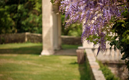 natural floral composition in the nature with old building - body copy - negative space - decoration...