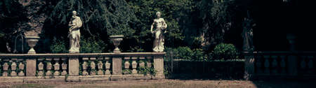 statue in the garden - copy space - negative spaceの写真素材