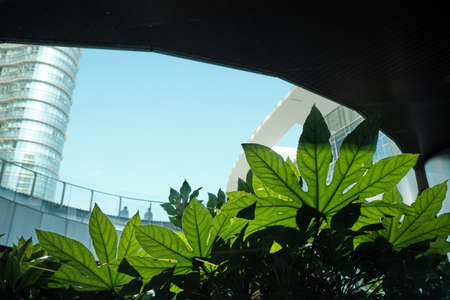 Modern building covered green plant Ecology and green living in city, urban environment concept -...