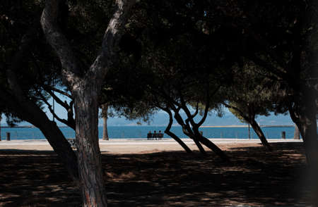 relaxed seascape view with 3 old woman seated looking panorama - healthy lifestyle pensionerの写真素材
