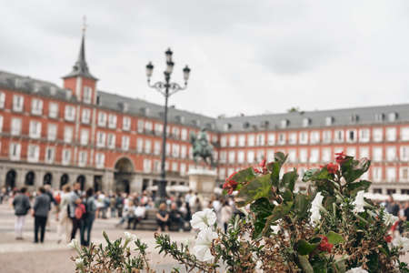 Old building with colorful facade on the Plaza Mayor, in a rainy day at Madridのeditorial素材