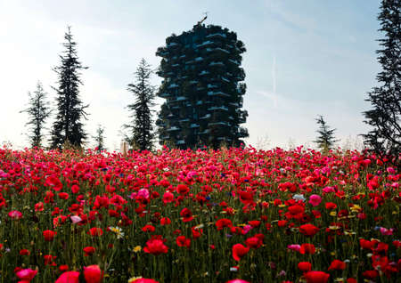 Tulip flower with Modern buildings and gardens of the new business district of Milan