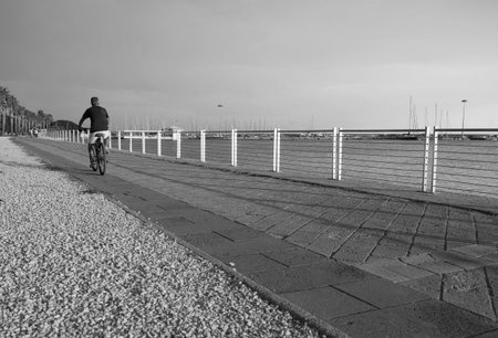 A solitary cyclist rides along a serene boardwalk, with a picturesque waterfront view and boats in...
