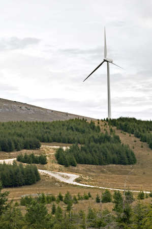 Eolic energy: Wind power through  wind turbines