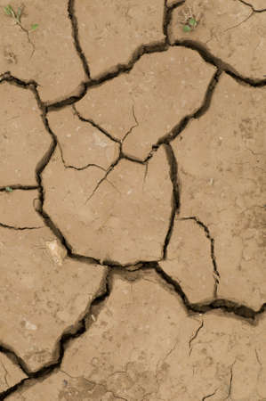 Cracks on ground induced by dry weatherの写真素材