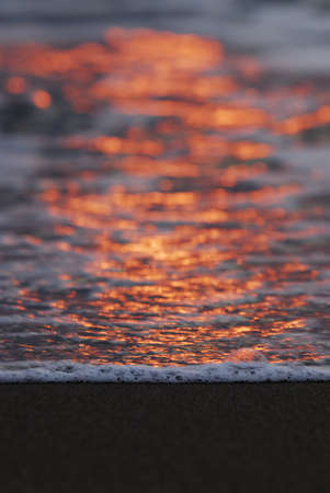 Closeup of sea water foam on sand at sunsetの写真素材