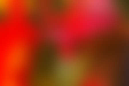 Bright colorful blurred background with many shades の写真素材