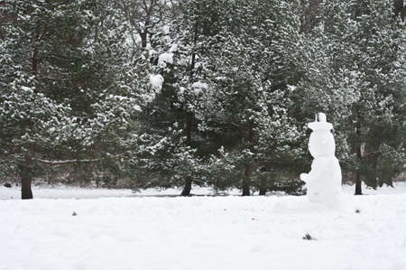 Snowman in the middle of a wood in winterの写真素材