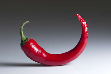 Red hot chili pepper for spicy foodの写真素材