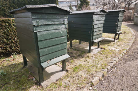Green wooden beehives for flower impollinationの写真素材
