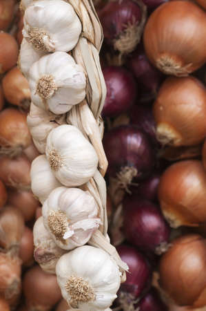 Onions and garlic of different types, sizes and colorsの写真素材