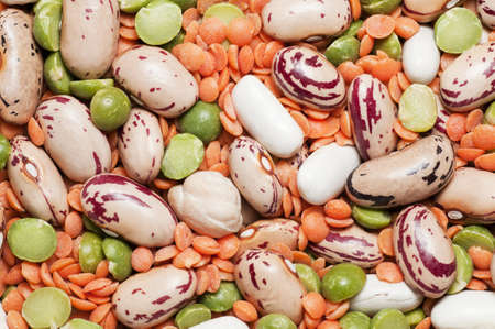 Variety of pulses essential for human life: beans, peas, lentils.