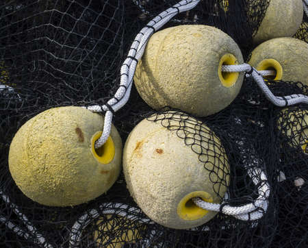 Floatings and net for industrial fishing