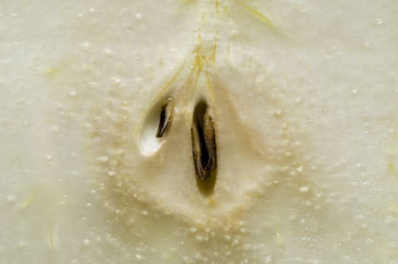 Detail of pulp with seeds of a pearの写真素材