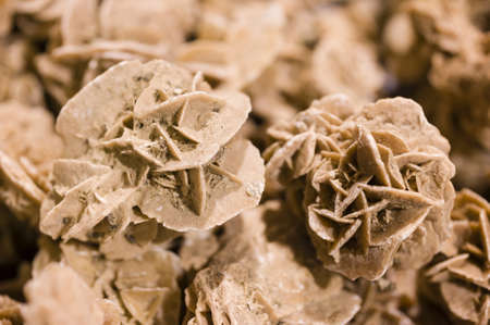 Desert rose, rosette formations of the minerals gypsum and barite with poikilotopic sand inclusions.の写真素材