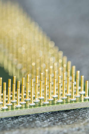 Green and golden electronic board for computerの写真素材