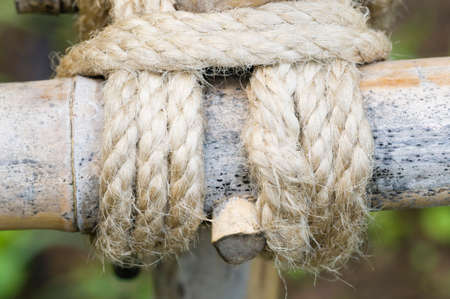 Rope knot to secure bamboo fenceの写真素材