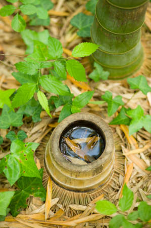 Water collection on a cut bamboo stemの写真素材