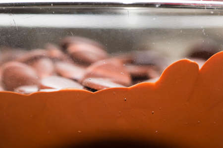 Ingredients for preparation of artisanal chocolate bar with dried fruitsの写真素材