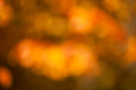 Blurred background of orange and yellow autumnal leavesの写真素材