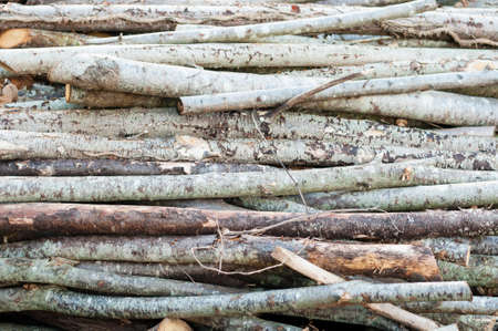 Stack of cut tree branches for home fireplace.の写真素材