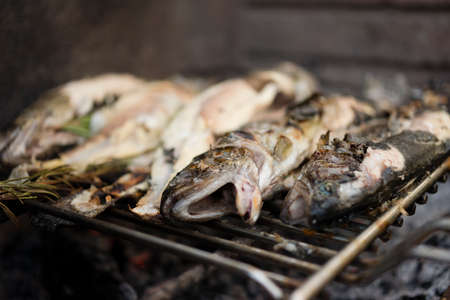 Trout fish freshly caught and ready to cook on wood barbecue.の写真素材