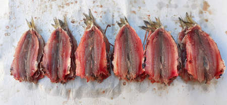 Freshly caught split anchovy fishes on sale in a Italian fish market の写真素材