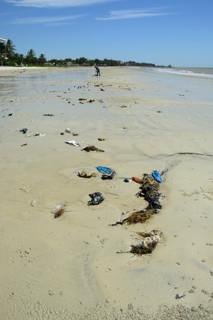 Garbage and plastic trash on coral beach in Tanzaniaの写真素材