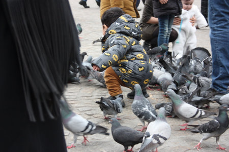 Small children on a winter day playing in a square in a European city. They enjoy chasing pigeons and feeding themのeditorial素材