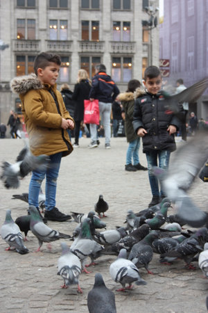 Small children on a winter day playing in a square in a European city. They enjoy chasing pigeons and feeding themのeditorial素材