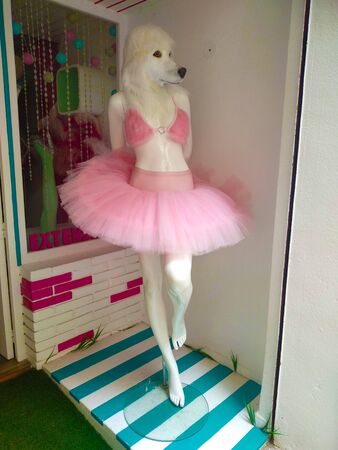 funny white mannequin with dog head and pink tulle ballerina dress for a joke in girl styleの写真素材