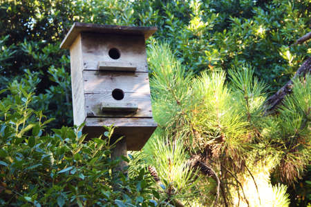a small wooden birdhouse in a green grove in tuscany