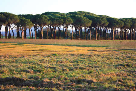 romantic sunsets in the Tuscan countryside at dusk and fantastic colors in nature in italyの写真素材