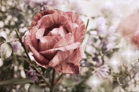 artwork  in painting style, rosesの写真素材