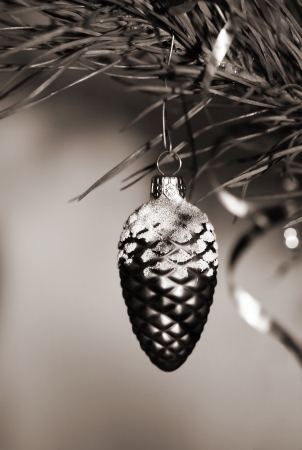 New Yearの写真素材