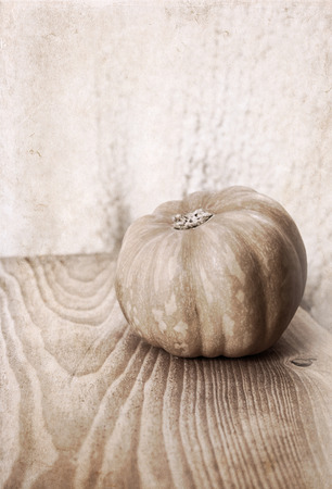 Artwork  in painting  style,  small pumpkinの写真素材