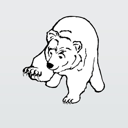 Polar bear, vectorのイラスト素材