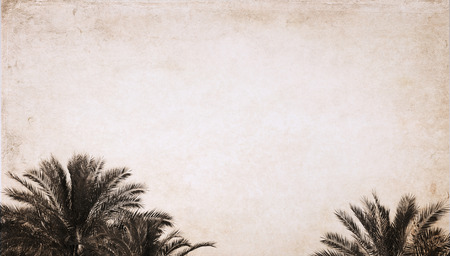 Artwork in vintage style, palmsの写真素材