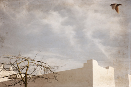 Artwork in retro style, flying bird, tourist resort, Sharm el Sheikh, Egyptの写真素材