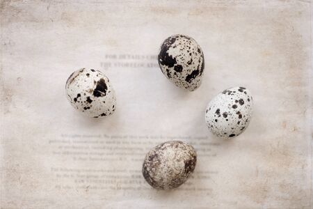 Artwork in retro style, quail eggsの写真素材