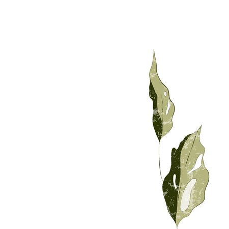Tropical leaves vector illustration, white textureのイラスト素材