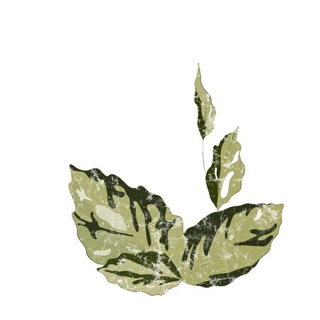 Tropical leaves vector illustration, white textureのイラスト素材