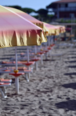 beach scene with umbrellas and deckchairs lined in a rowの写真素材