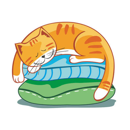 Striped red cat sleeps on pillowsのイラスト素材
