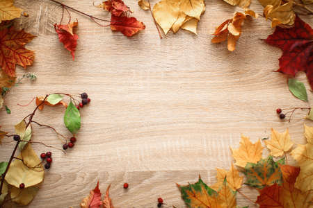 Autumn postcard still life on a bright tabletop.A variety of autumn leaves laid out on the table...