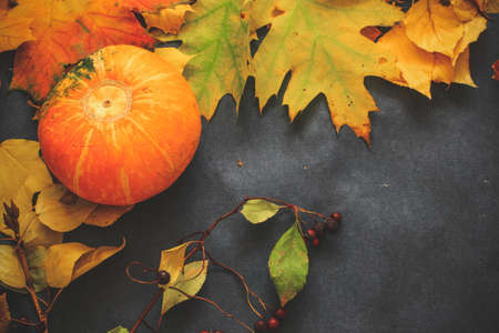 Autumn still life of leaves on the eve of Halloween.Composition from leaves of autumn flowers of yellow orange and red pumpkin and mushrooms.A variety of autumn leaves of twigs and berries laid out on dark paper.の写真素材